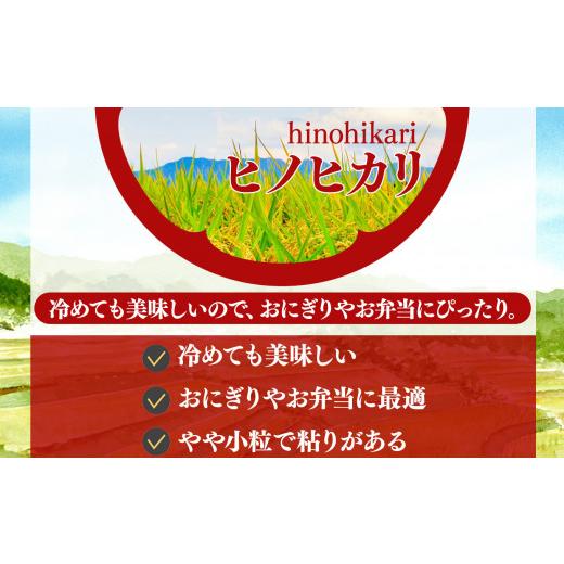 ふるさと納税 奈良県 五條市 新米 奈良県産 ヒノヒカリ 精米 10kg  | コメ 米 こめ 精米 ひのひかり　もちもち　奈良県 五條市｜furusatochoice｜04