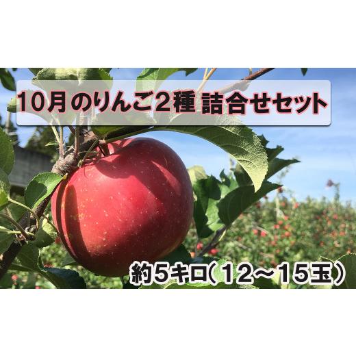 ふるさと納税 りんご 岩手県 花巻市 10月りんご2種詰め合わせセット 約5kg (12〜15玉) 1705