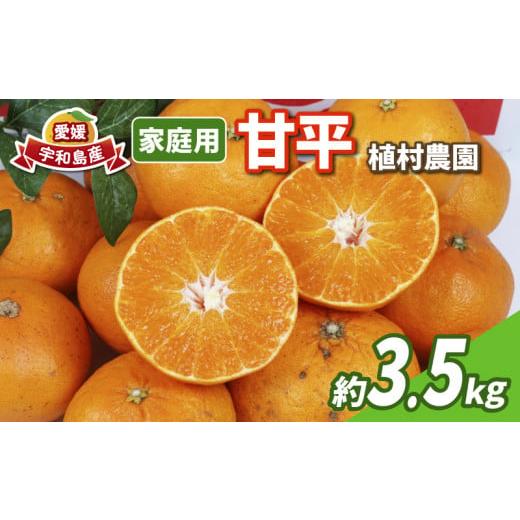 ふるさと納税 みかん・柑橘類 愛媛県 宇和島市 甘平 家庭用 3.5kg 植村農園 先行予約 かんぺい 高級 希少 ブランド シャキシャキ 限定 品種 甘い 果物 フルー…