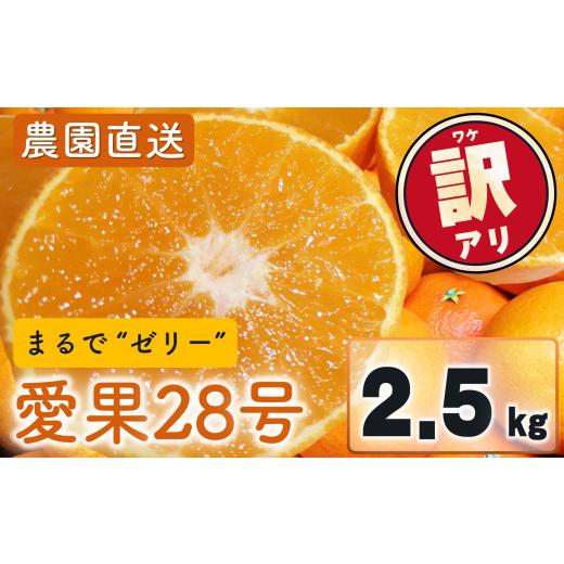 ふるさと納税 果物類 みかん 愛媛県 松山市 愛果28号 (紅まどんな と同品種) 訳あり 家庭用 2.5kg (約6〜15個) 光センサー選別 2026年11月下旬頃から順次発送 …