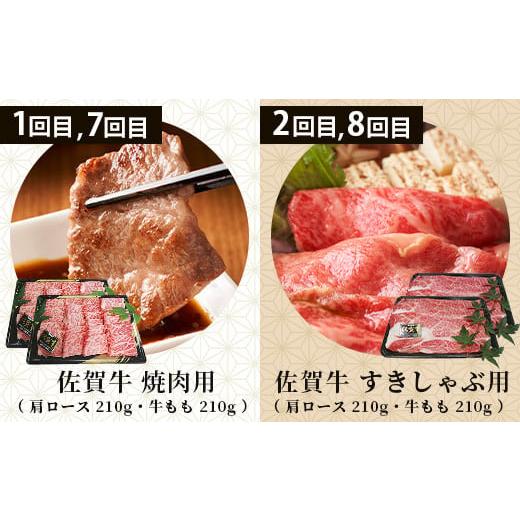 ふるさと納税 豚肉 セット 佐賀県 鹿島市 定期便12回 佐賀の「牛・豚・鶏」食べ比べ 定期便 12ヶ月 12ヵ月 佐賀牛 ありた鶏 佐賀県産豚肉 肉 定期 牛肉 豚肉 …_2