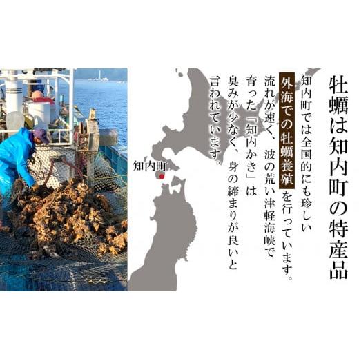 ふるさと納税 牡蠣 北海道 知内町 冷凍カキ約200g&times; 2袋セット 牡蠣 海鮮 魚介 かき 冷凍 上磯郡漁業協同組合