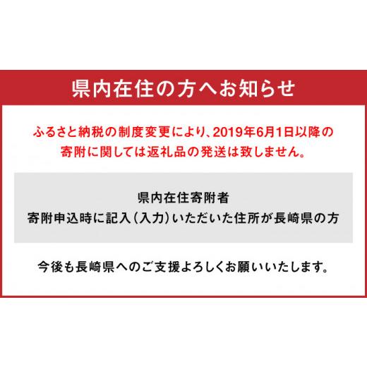 ふるさと納税 アクセサリー ペンダント 長崎県 - あこや真珠（6.5-7mm）ダイヤ・ルビー入り ペンダントトップ K18 長崎県／園田真珠 42AAAY021 真珠 パール ア…_9