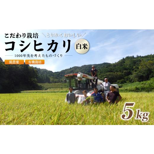 ふるさと納税 米 コシヒカリ 京都府 綾部市 令和7年度産 京都府産 低農薬 有機栽培コシヒカリ5kg 米 5キロ 精米 白米 こめ コメ お米 おこめ こしひかり 井上…