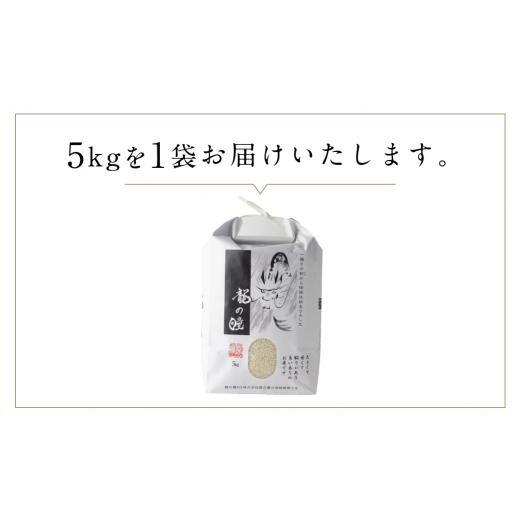 ふるさと納税 岐阜県 飛騨市 【先行予約】2023年産 龍の瞳飛騨産 5kg 令和5年産 新米｜furusatochoice｜09