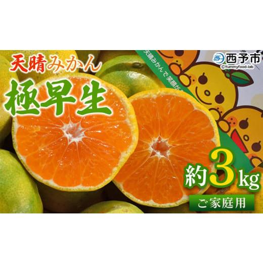 ふるさと納税 果物類 みかん 愛媛県 西予市 天晴みかん 極早生 家庭用 約3kg 温州ミカン 柑橘 果物 くだもの フルーツ 蜜柑 訳あり ワケアリ 自宅用 期間限定…