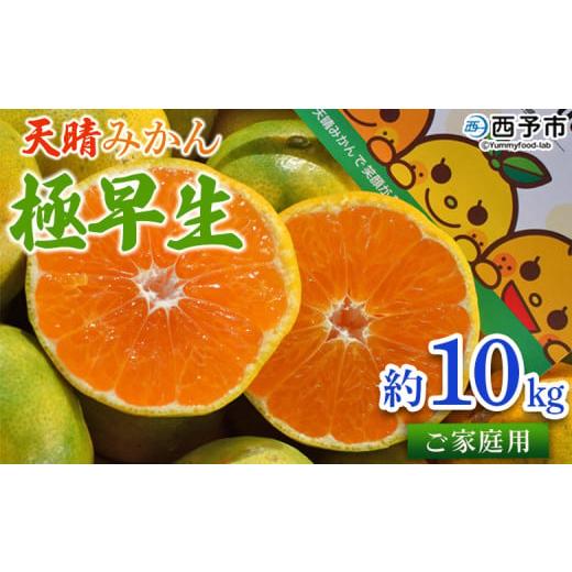 ふるさと納税 果物類 みかん 愛媛県 西予市 天晴みかん 極早生 家庭用 約10kg 温州 柑橘 果物 くだもの フルーツ ミカン 蜜柑 訳あり ワケアリ 自宅用 期間限…