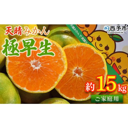 ふるさと納税 果物類 みかん 愛媛県 西予市 天晴みかん 極早生 ご家庭用 約15kg 柑橘 果物 フルーツ オレンジ 期間限定 季節限定 食べて応援 特産品 温州みか…