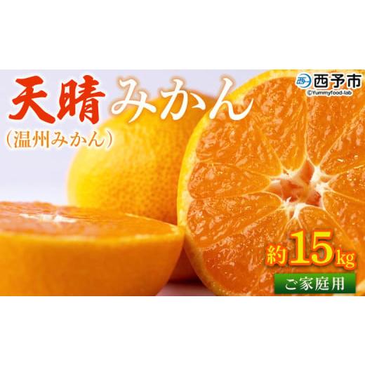 ふるさと納税 果物類 みかん 愛媛県 西予市 愛媛県明浜産 天晴みかん(温州みかん)約15kg 訳あり 柑橘 果物 フルーツ オレンジ 期間限定 季節限定 食べて応…
