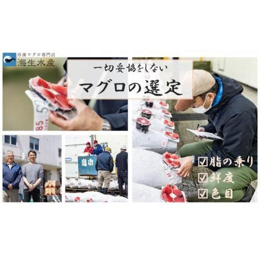 ふるさと納税 マグロ 静岡県 静岡市 冷凍 鮪 メバチマグロ 味わいセット（上赤身）静岡市 天然 まぐろ トロ マグロ 海生水産 海の幸_2