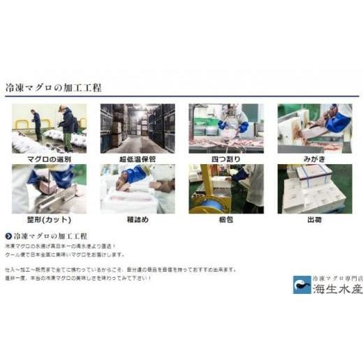 ふるさと納税 マグロ 静岡県 静岡市 冷凍 鮪 メバチマグロ 味わいセット（上赤身）静岡市 天然 まぐろ トロ マグロ 海生水産 海の幸_6