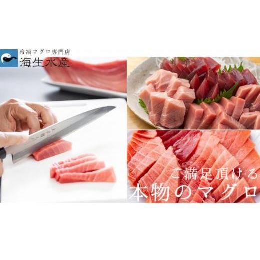 ふるさと納税 マグロ 静岡県 静岡市 冷凍 鮪 メバチマグロ 味わいセット（上赤身）静岡市 天然 まぐろ トロ マグロ 海生水産 海の幸_8