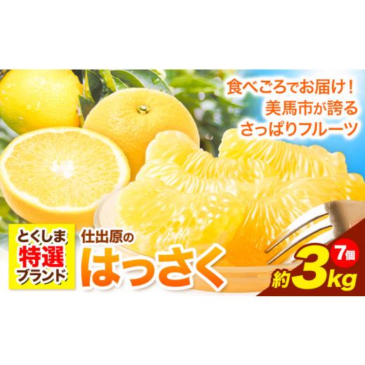 ふるさと納税 みかん・柑橘類 徳島県 美馬市 八朔 はっさく 約3kg 7個[2027年2月上旬‐3月上旬頃出荷]仕出原八朔生産組合 八朔 大玉 はっさく 果物 くだもの…