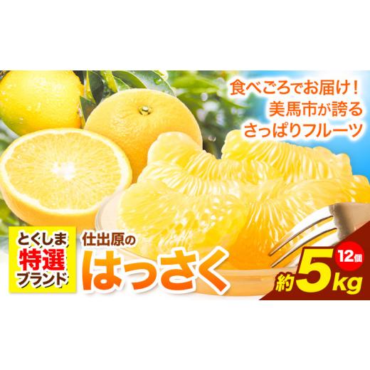 ふるさと納税 みかん・柑橘類 徳島県 美馬市 八朔 はっさく 約5kg 12個 [2027年2月上旬‐3月上旬頃出荷]仕出原八朔生産組合 果物 くだもの フルーツ 特選 ゼ…