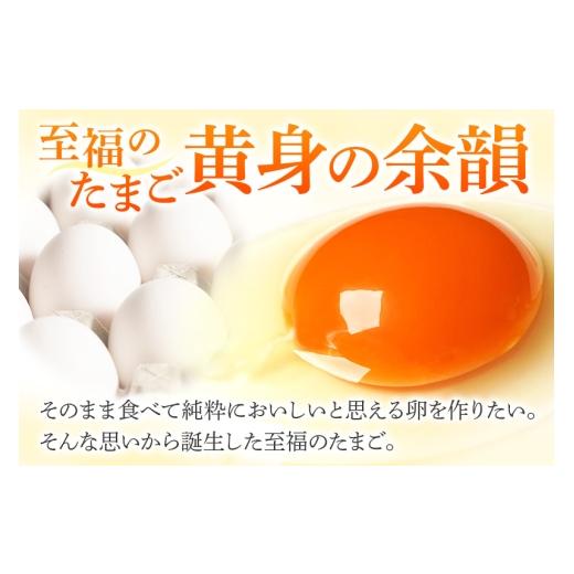 ふるさと納税 卵（鶏、烏骨鶏等） 秋田県 横手市 常温発送 《定期便7ヶ月》黄身の余韻6個×2P・ひとたま6個×2P 計24個 発送時期が選べる 7か月 7ヵ月 7カ月 …_6