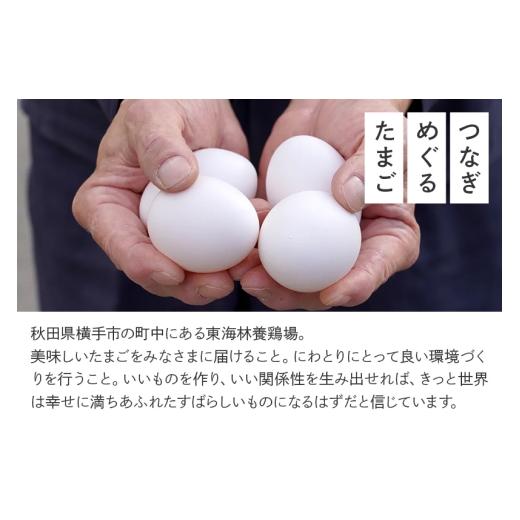 ふるさと納税 卵（鶏、烏骨鶏等） 秋田県 横手市 常温発送 《定期便7ヶ月》黄身の余韻6個×2P・ひとたま6個×2P 計24個 発送時期が選べる 7か月 7ヵ月 7カ月 …_8
