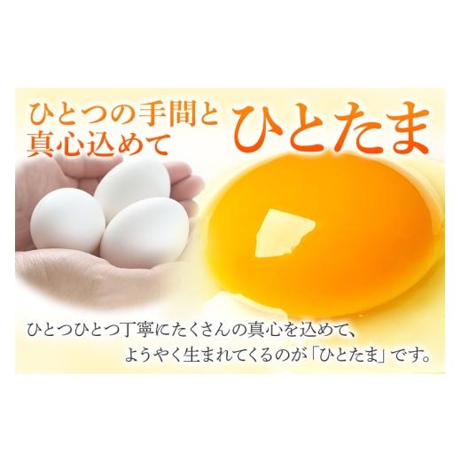 ふるさと納税 卵（鶏、烏骨鶏等） 秋田県 横手市  常温発送 《定期便9ヶ月》黄身の余韻6個×2P・ひとたま6個×2P 計24個 発送時期が選べる 9か月 9ヵ月 9カ月 …_7