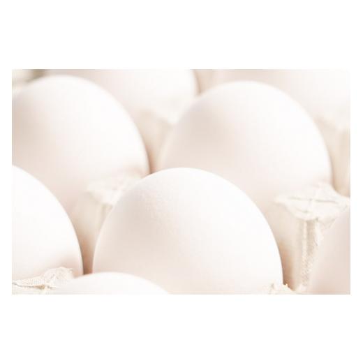 【新入荷】 ふるさと納税 秋田県 横手市 《定期便6ヶ月》ひとたま（160個） 【KUE1611241762】(56760円)