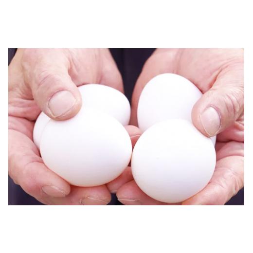 【新入荷】 ふるさと納税 秋田県 横手市 《定期便6ヶ月》ひとたま（160個） 【KUE1611241762】(56760円)