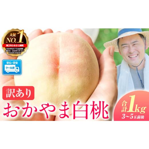 ふるさと納税 もも 岡山県 浅口市 2026年発送 先行予約開始 桃 もも ご家庭用/訳あり おかやま白桃 もも 1kg 3~5玉前後 岡山県産[2026年6月下旬-9月下旬頃…