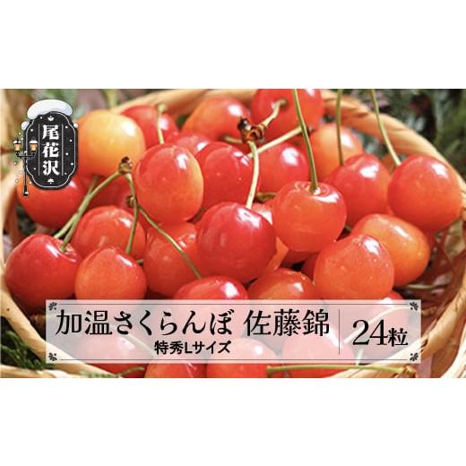 ふるさと納税 山形県 尾花沢市 先行予約 加温 さくらんぼ 佐藤錦 特秀Lサイズ プレゼント ギフト チョコ箱入 24粒 2024年産 令和6年産 山形県産 ns-sntlc24