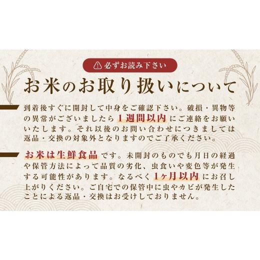 ふるさと納税 米 コシヒカリ 京都府 福知山市  定期便3カ月 京都産 コシヒカリ 姫髪の里 (計10kg／5kg×2) fc-AQ005 有限会社森成農産の画像