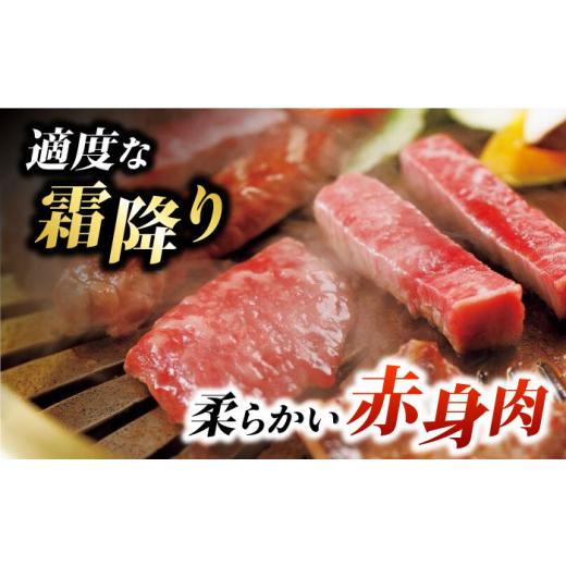 ふるさと納税 牛肉 サーロイン 熊本県 山鹿市  12回定期便 くまもとあか牛 サーロイン ステーキ 約400g 有限会社スイートサプライなかぞの ZBV017 牛肉 国産 …_3