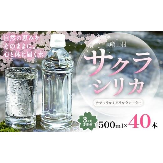 ふるさと納税 水・ミネラルウォーター 500mL〜999mL 熊本県 産山村 3ヶ月定期便 サクラシリカ 500ml × 40本 みずの里[30日以内に出荷予定(土日祝除く)]熊…