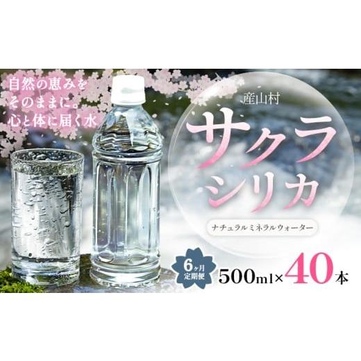 ふるさと納税 水・ミネラルウォーター 500mL〜999mL 熊本県 産山村 6ヶ月定期便 サクラシリカ 500ml × 40本 みずの里[30日以内に出荷予定(土日祝除く)]熊…