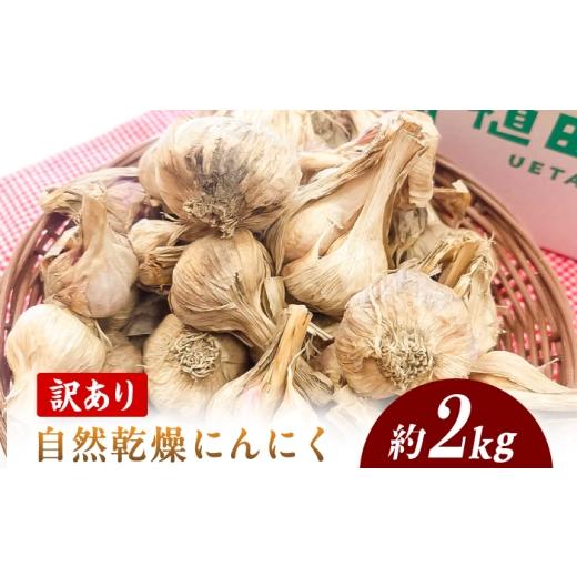ふるさと納税 野菜類 高知県 土佐市 先行予約 訳あり にんにく 約2kg にんにく 高知県産 乾燥 ガーリック 薬味 お取り寄せ 訳あり 先行予約 高知県 土佐市 株…
