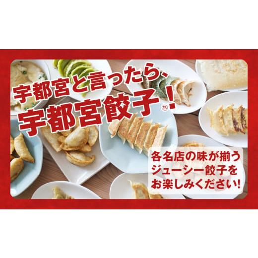 ふるさと納税 栃木県 宇都宮市 【12ヶ月定期便】宇都宮餃子　32店舗定期便　計700個以上 ｜ ぎょうざ 冷凍餃子 冷凍食品 惣菜 栃木県 宇都宮市※着日指定不可 惣菜、料理 その他惣菜、料理