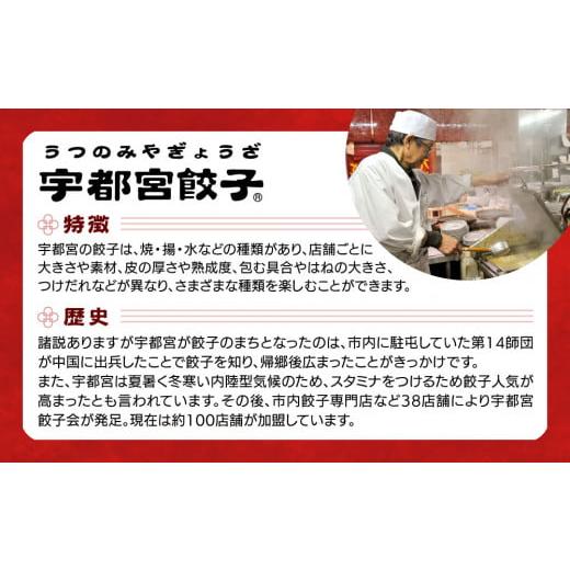 ふるさと納税 栃木県 宇都宮市 【12ヶ月定期便】宇都宮餃子　32店舗定期便　計700個以上 ｜ ぎょうざ 冷凍餃子 冷凍食品 惣菜 栃木県 宇都宮市※着日指定不可 惣菜、料理 その他惣菜、料理