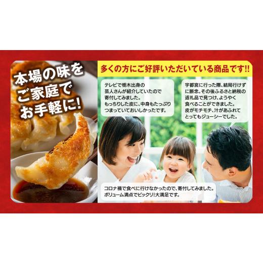 ふるさと納税 栃木県 宇都宮市 【12ヶ月定期便】宇都宮餃子　32店舗定期便　計700個以上 ｜ ぎょうざ 冷凍餃子 冷凍食品 惣菜 栃木県 宇都宮市※着日指定不可 惣菜、料理 その他惣菜、料理