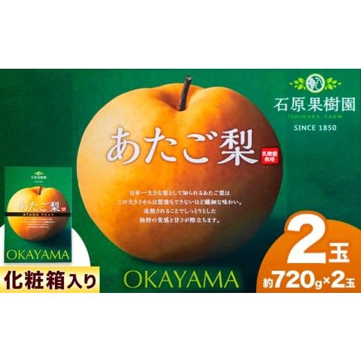 ふるさと納税 梨 岡山県 浅口市 先行予約 あたご 梨 約720g×2玉 化粧箱 石原果樹園 [11月中旬-12月下旬頃より発送予定]岡山県 浅口市 フルーツ 果物 ギフ…