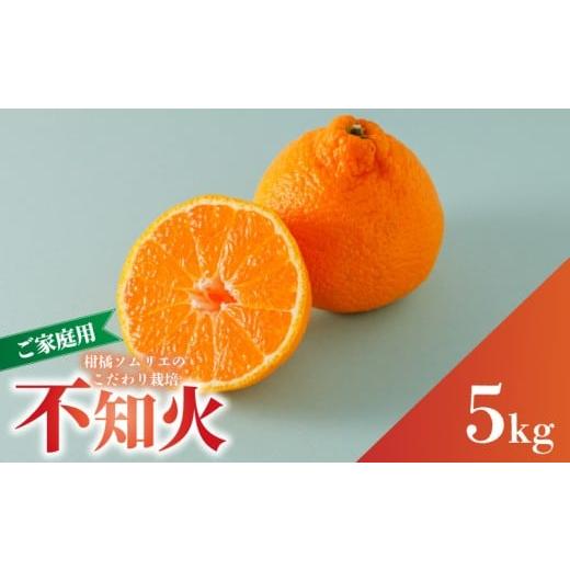 ふるさと納税 果物類 みかん 愛媛県 松山市 先行予約 2026年2月下旬から発送 不知火(デコポンと同一品種) B品 家庭用 5kg | 愛媛産 愛媛県産 国産 愛媛みか…