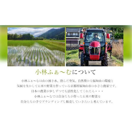 ふるさと納税 果汁飲料 トマト 京都府 福知山市 ぷれみあむとまとのじゅ〜す (180ml×6本) fc-AB006 株式会社小林ふぁ〜むの画像