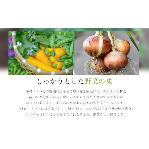 ふるさと納税 果汁飲料 トマト 京都府 福知山市 ぷれみあむとまとのじゅ〜す (180ml×6本) fc-AB006 株式会社小林ふぁ〜むの画像