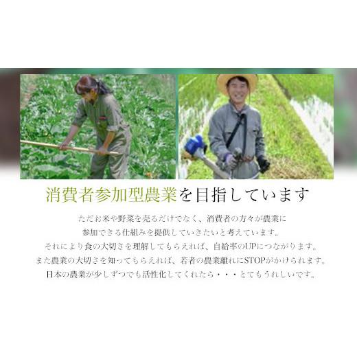 ふるさと納税 果汁飲料 トマト 京都府 福知山市 ぷれみあむとまとのじゅ〜す (180ml×6本) fc-AB006 株式会社小林ふぁ〜むの画像
