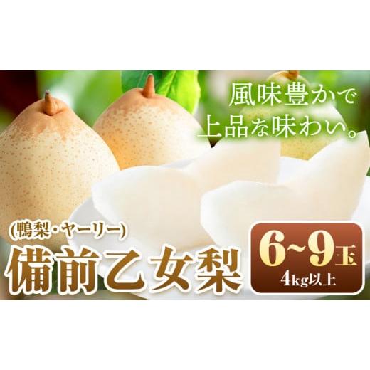 ふるさと納税 梨 岡山県 浅口市 梨 なし 乙女梨 6~9玉 4kg 以上 石原果樹園 フルーツ 果物 新鮮 [11月中旬-12月下旬頃より発送予定]岡山県 浅口市 果物 フ…