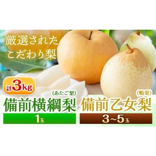 ふるさと納税 梨 岡山県 浅口市 先行予約 梨 なし 横綱梨 計3kg 備前備前横綱梨 1玉(1〜1.5kg/玉) 備前乙女梨 3〜5玉 石原果樹園 フルーツ 果物 新鮮[11月…
