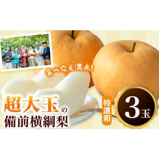 ふるさと納税 梨 岡山県 浅口市 先行予約 梨 横綱梨 超大玉 3玉 (1〜1.4kg/玉)特選箱 石原果樹園 フルーツ 果物 新鮮[11月中旬-12月下旬頃より発送予定]…