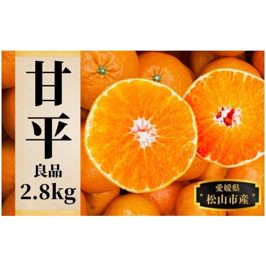 ふるさと納税 果物類 みかん 愛媛県 松山市 甘平 約2.8kg(良品) 2月頃発送 みかん ブランド 柑橘 フルーツ 果物 愛媛 松山
