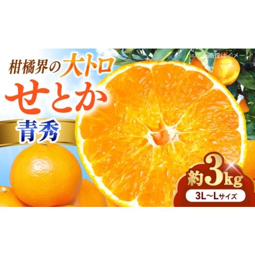 ふるさと納税 果物類 みかん 愛媛県 砥部町 みかん せとか 青秀 約3kg 3L-Lサイズ 1月中旬から2月中旬まで順次発送 / フルーツ 果物 蜜柑 ミカン オレンジ 甘…