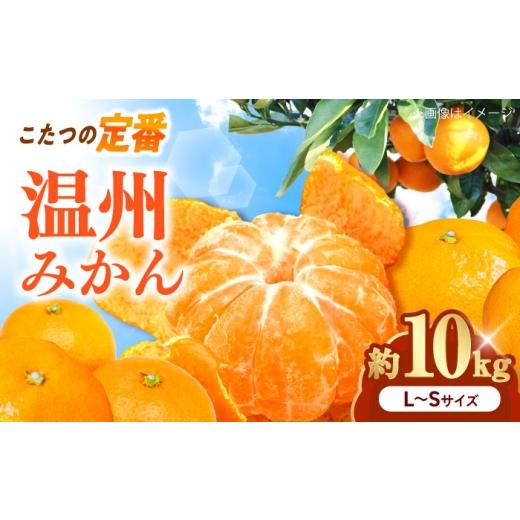 ふるさと納税 果物類 みかん 愛媛県 砥部町 みかん 温州みかん 約10kg L-Sサイズ 11月から12月まで順次発送 / フルーツ 果物 蜜柑 ミカン オレンジ 小玉 甘い…