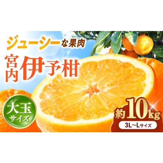 ふるさと納税 果物類 みかん 愛媛県 砥部町 みかん 宮内伊予柑 いよかん 約10kg 3L-L サイズ 1月から2月中旬まで順次発送 / フルーツ 果物 蜜柑 ミカン オレ…