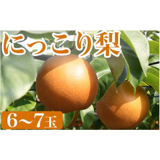 ふるさと納税 梨 栃木県 宇都宮市 先行予約 産地直送 にっこり梨(6玉〜7玉) | 旬 果物 フルーツ 産地直送 栃木県産 2026年10月〜発送