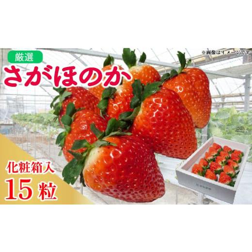 ふるさと納税 いちご 徳島県 阿波市 [ 2月 発送 ] いちご 15個 化粧箱入り 約 420g 苺 ストロベリー 果物 フルーツ ケーキ ゼリー ジュース アイス シャーベ…