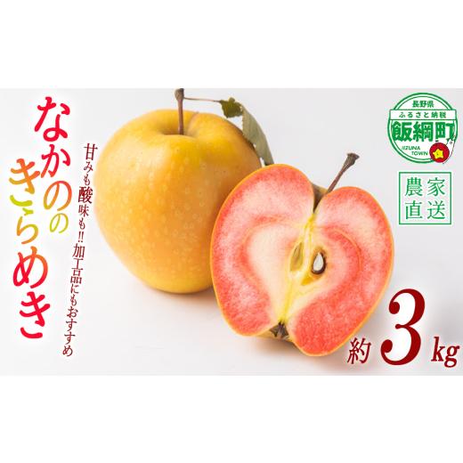 ふるさと納税 りんご 長野県 飯綱町 りんご なかののきらめき 3kg やまじゅうファーム 沖縄県への配送不可 2025年11月下旬頃から2025年12月中旬頃まで順次発送…