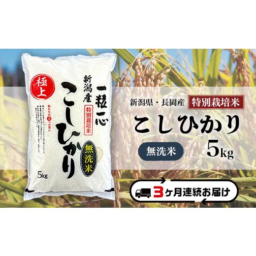 ふるさと納税 米 コシヒカリ 新潟県 長岡市 48-7M053 3ヶ月連続お届け 無洗米 新潟県長岡産特別栽培米コシヒカリ5kg