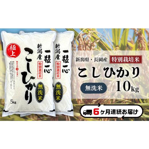 ふるさと納税 米 コシヒカリ 新潟県 長岡市 48-7M106 6ヶ月連続お届け 無洗米 新潟県長岡産特別栽培米コシヒカリ10kg